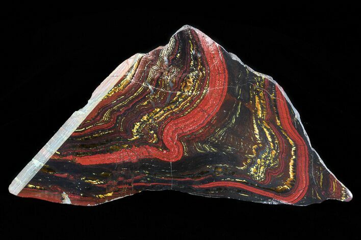 Polished Tiger Iron Stromatolite - ( Billion Years) #75843